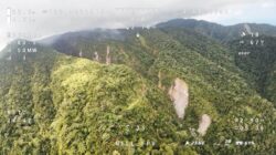 Pantauan Drone Karhutla Kawasan Gunung Awu: Titik Api 1,3 Kilometer dari Perkebunan Warga Kendahe Padam, Sisa Dua Titik di Atas Tebing Jurang